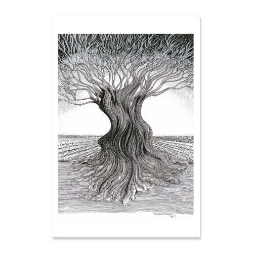 Poster 30x45