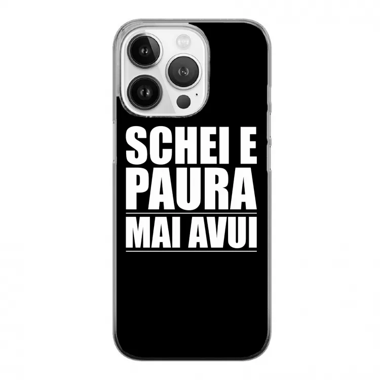 SCHEI E PAURA-cover