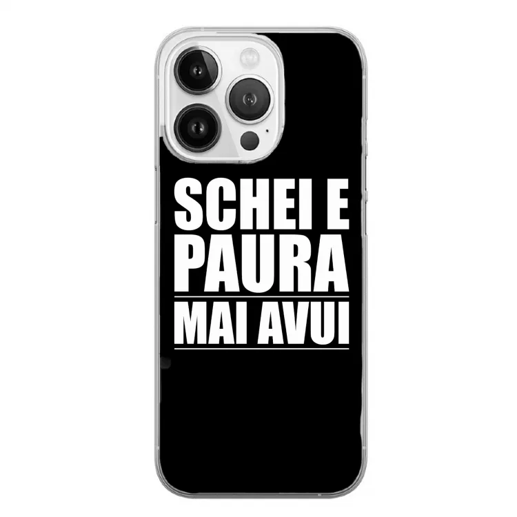 SCHEI E PAURA-cover