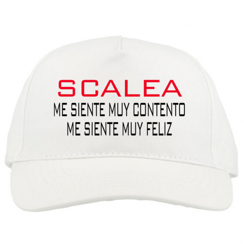 Baseball Cap Premium