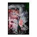 Poster 60x90 55.00 &euro;