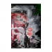 Canvas 20x30 40.00 &euro;