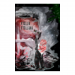 Canvas 60x90 110.00 &euro;