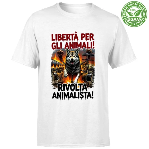 T-Shirt Bambino Organic