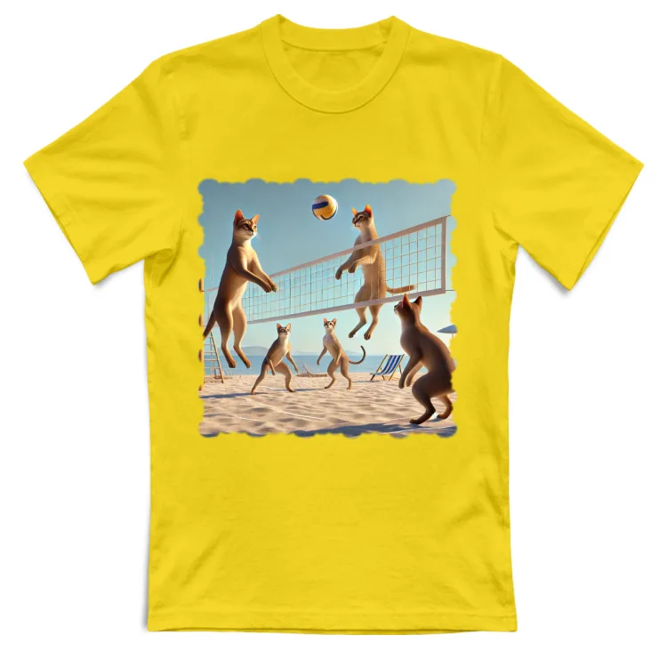 Beach volley (v1)