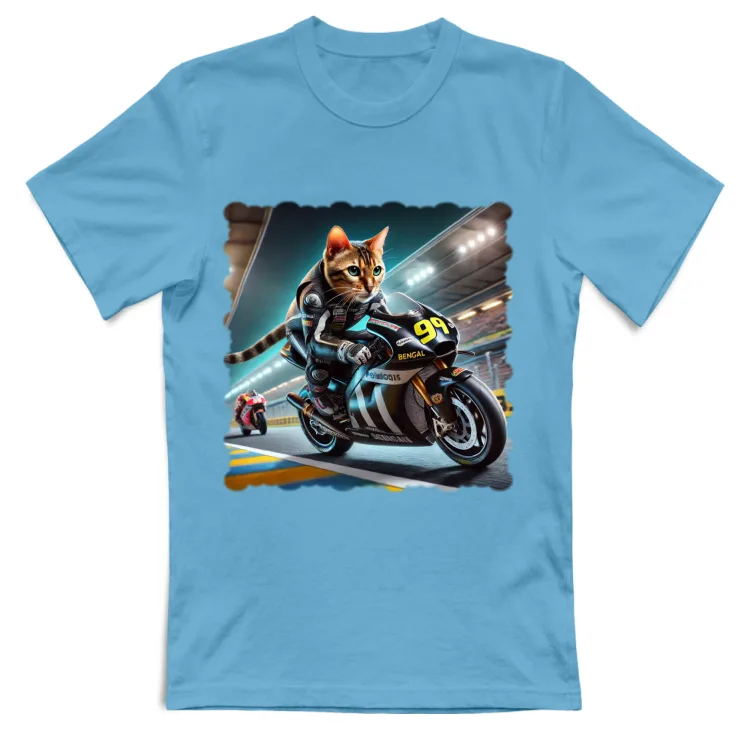 Moto GP (v1)