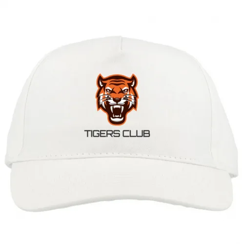 Baseball Cap Premium