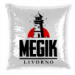 Pailettes pillow 15.00 &euro;