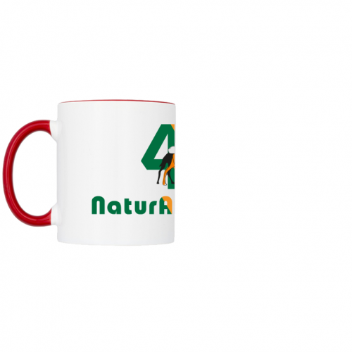 Mug Two Color