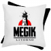 Bicolor pillow 15.00 &euro;