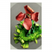 Canvas 30x45 30.00 &euro;