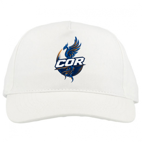 Baseball Caps