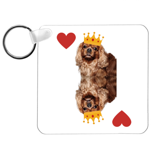 Portachiavi