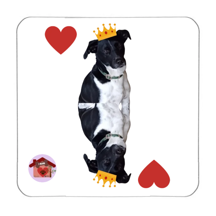 Calamita Re di cuori Wyke