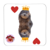 Calamita Re di cuori Pepe