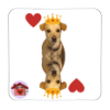 Calamita Re di cuori Chip