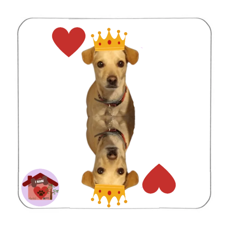 Calamita Re di cuori Chip