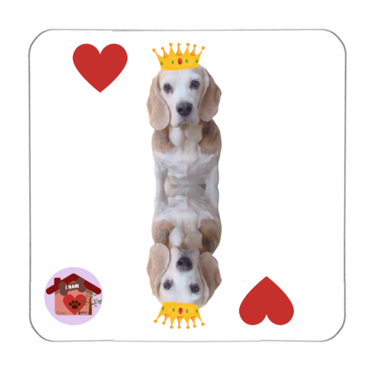 Calamita Regina di cuori Carlotta