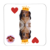 Calamita Re di cuori Lancillotto