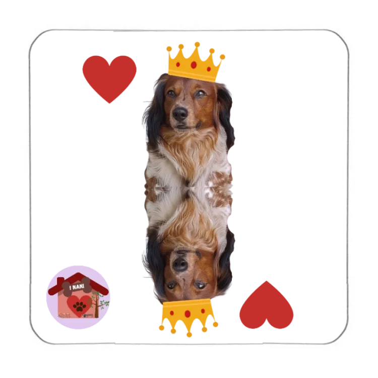 Calamita Re di cuori Lancillotto