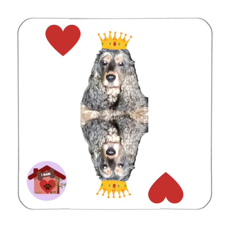 Calamita Regina di cuori Perla