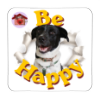 Calamita Be Happy Wyke