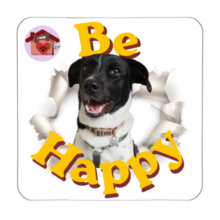 Calamita Be Happy Wyke
