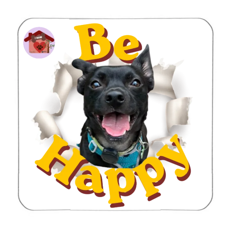 Calamita Be Happy Nemo