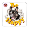 Calamita Be Happy Nalini