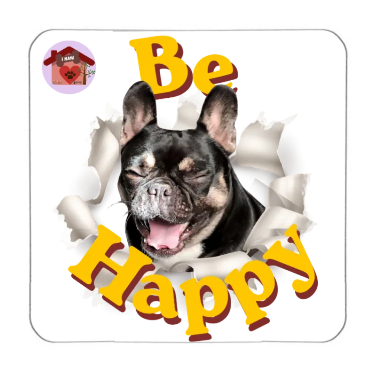 Calamita Be Happy Nalini