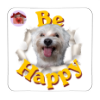 Calamita Be Happy Kobe