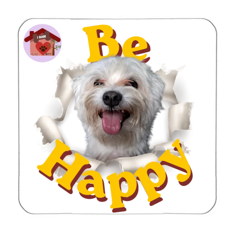 Calamita Be Happy Kobe