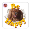 Calamita Be Happy Franz