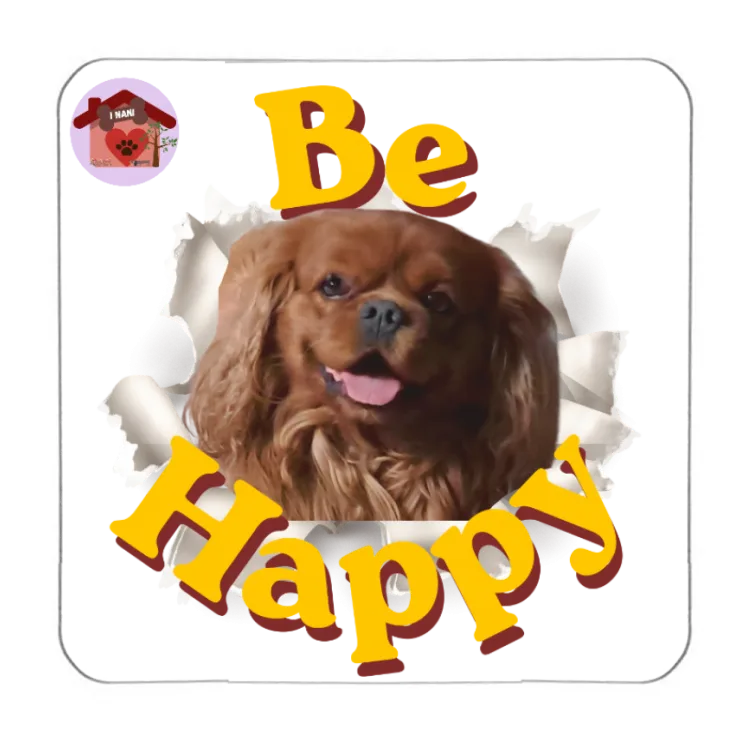 Calamita Be Happy Franz