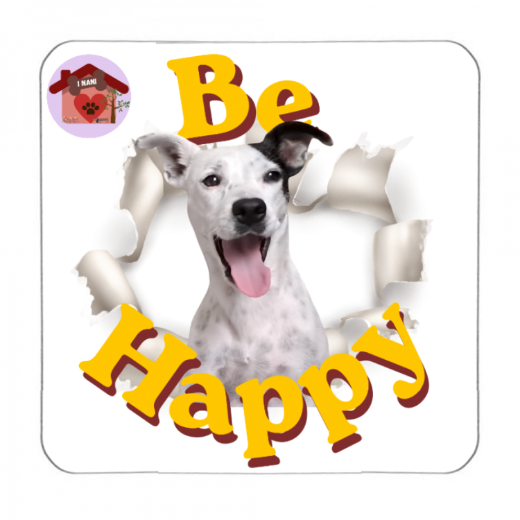 Calamita Be Happy Fanny