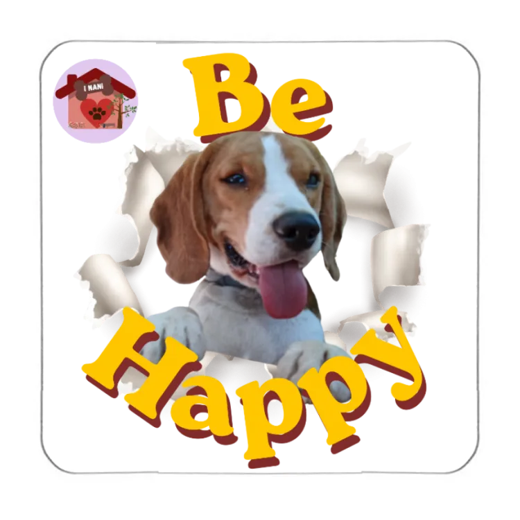 Calamita Be Happy Ciro