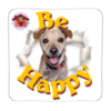 Calamita Be Happy Chip