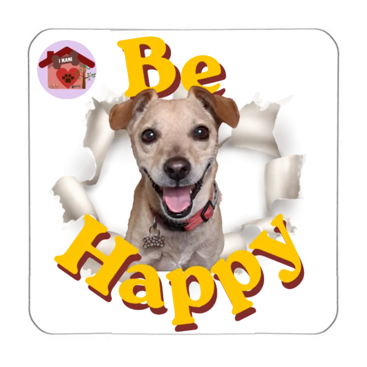 Calamita Be Happy Chip
