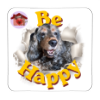 Calamita Be Happy Perla