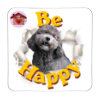Calamita Be Happy Pepe