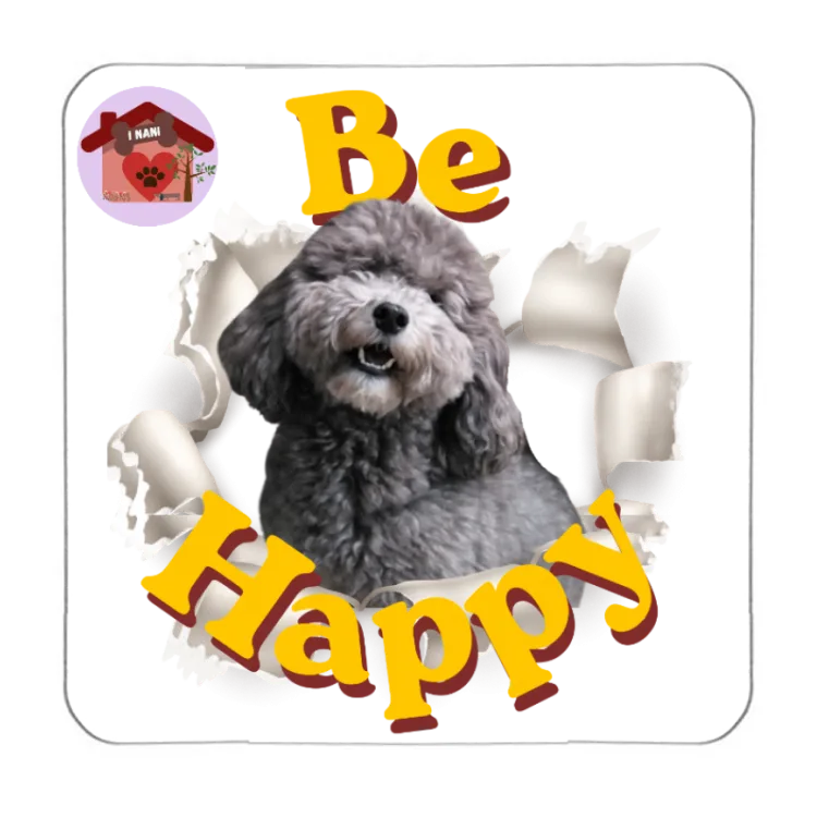 Calamita Be Happy Pepe