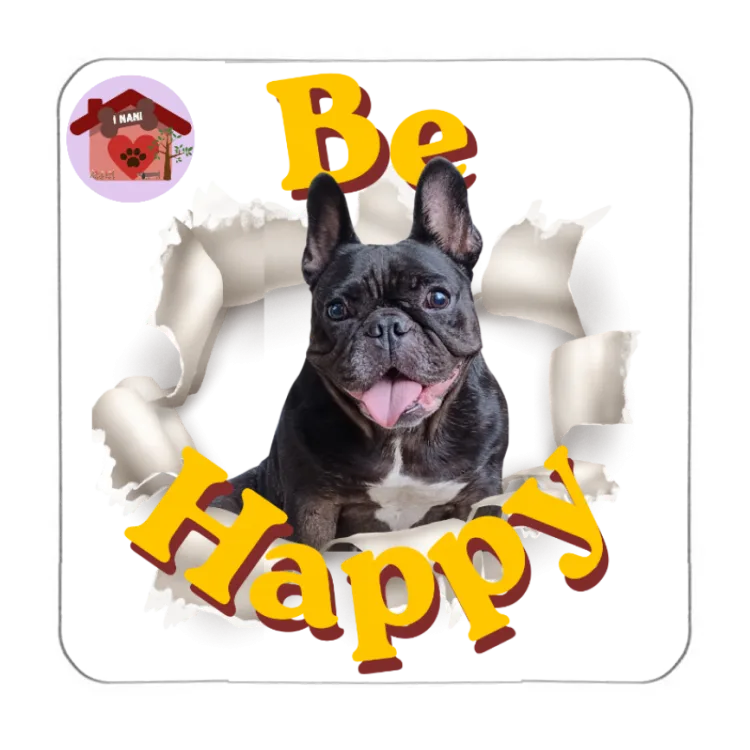 Calamita Be Happy Lea
