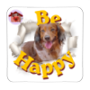 Calamita Be Happy Lancillotto