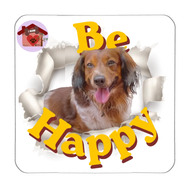 Calamita Be Happy Lancillotto