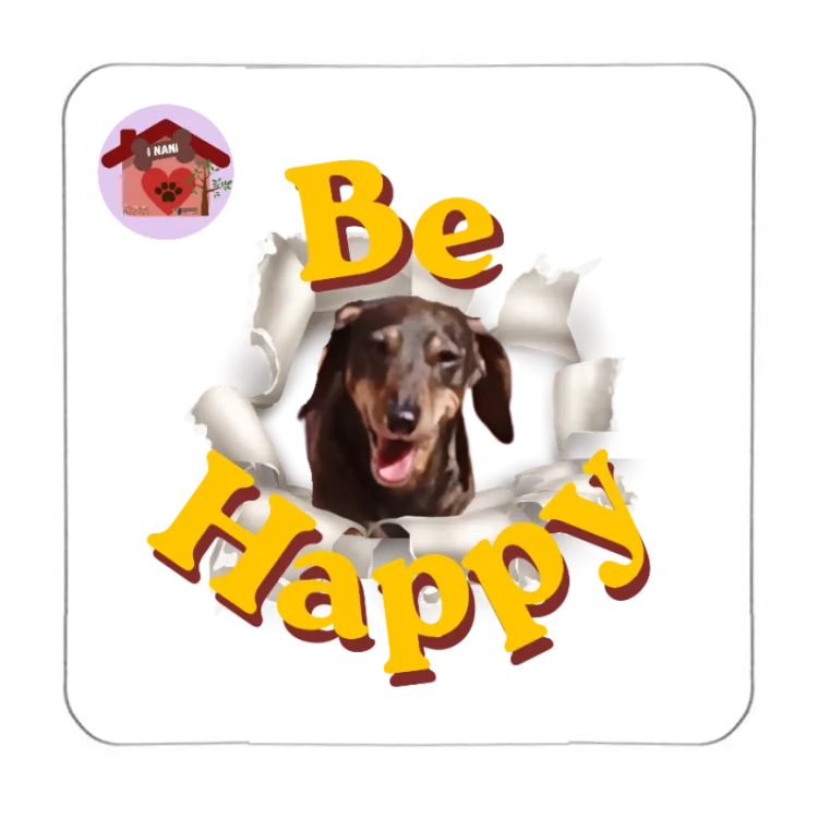 Calamita Be Happy Flink