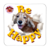 Calamita Be Happy Dalì
