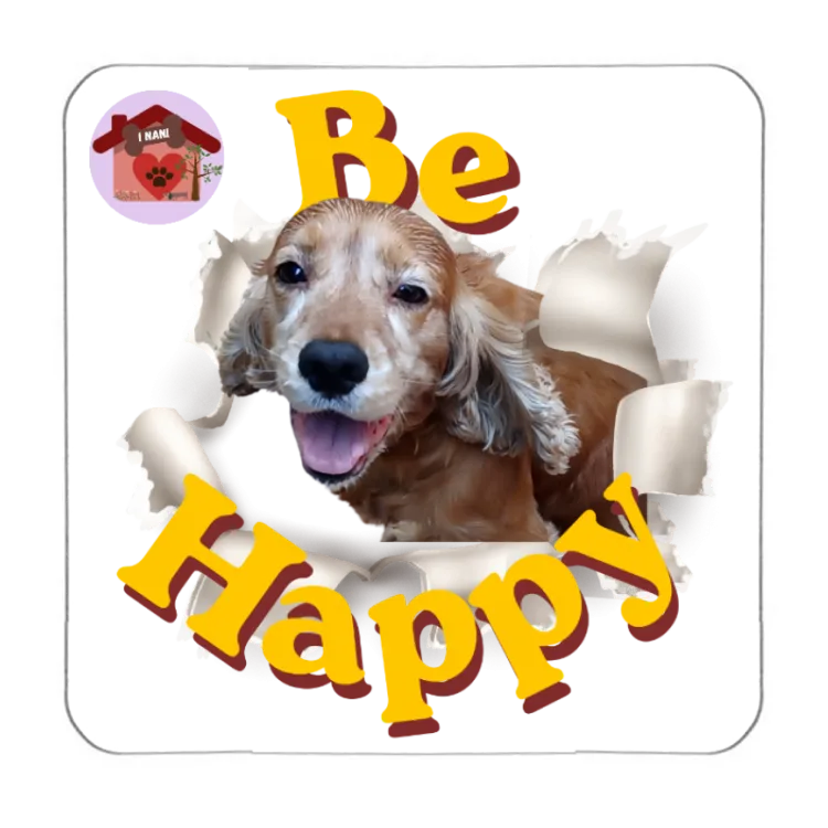Calamita Be Happy Dalì