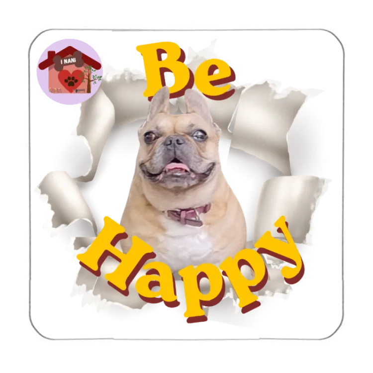 Calamita Be Happy Vicky