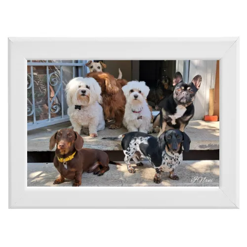 Poster con Cornice 30x20