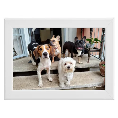 Poster con Cornice 30x20
